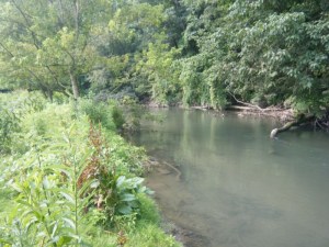 Trout Fishing Lebanon County, PA With Spurky Troutrageous!